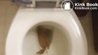Gabbay's big toilet poop