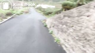 VeganLinda poops at the roadside