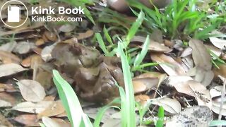 Tegan poops a big log outdoors