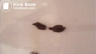 Brunette shitting in the bathtub