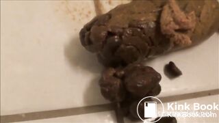 Tegan drops a big heavy poop on the floor