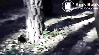 Curvy lady poops in the woods