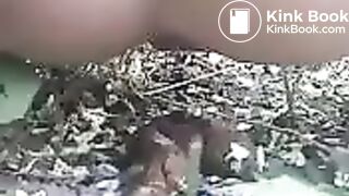 A huge poop in the bushes