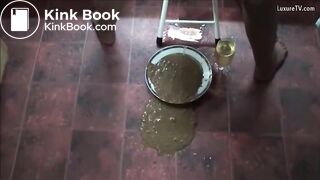 Mature diarrhea plate