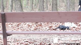 Pissing and pooping in the forest