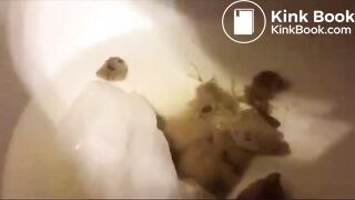 Toilet Clogging Princess new 2020 compilation