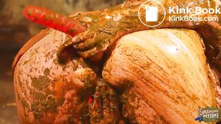 Betty Loves Manure Teaser 1