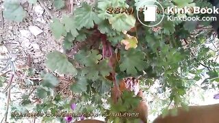 Compilation of outdoor poops