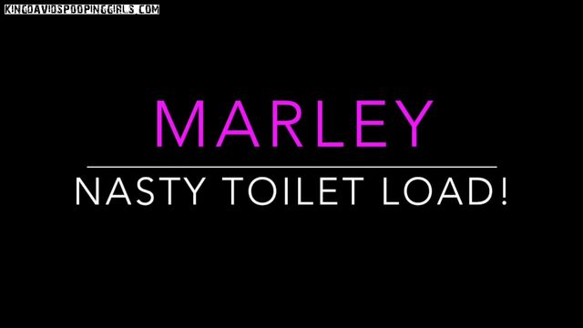 Marley stinks out the toilet