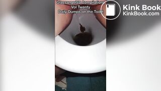 Daily Dumps on the Toilet Glassangel55 Compilations Vol Twenty