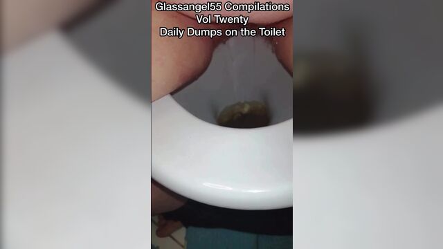 Daily Dumps on the Toilet Glassangel55 Compilations Vol Twenty