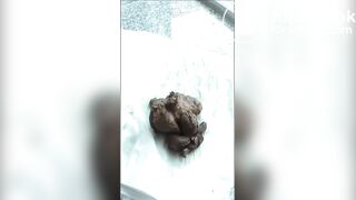 Big pile on a sunny hotel balcony