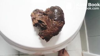 A perfect huge shit