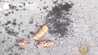 Asian girls forced enema compilation