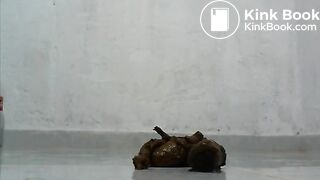 Explosive Squirts & Poop Latina 3