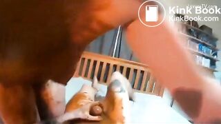 Amateur scat couple