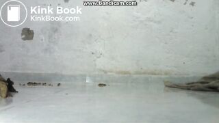 Explosive Squirts & Poop Latina 5