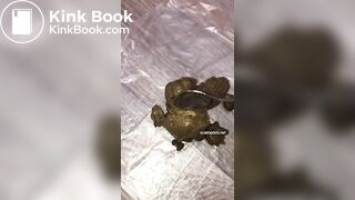 Dropping hard nuggets and a firm log
