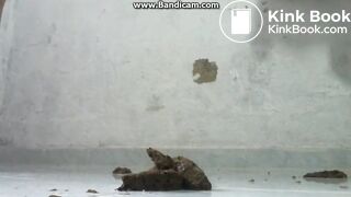 Explosive Squirts & Poop Latina 13 (Huge Vomit Warning)