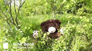 She uses her big teddy as a toilet