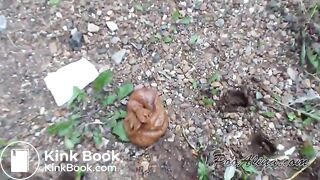 A powerful outdoor shit