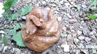 A powerful outdoor shit