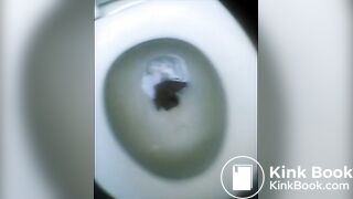 Two very nice poops