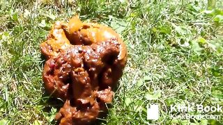 Big poop on the lawn