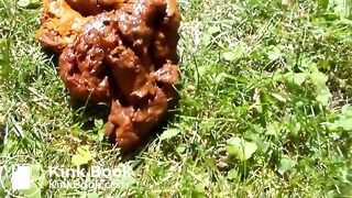 Big poop on the lawn