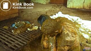 Sex in cowshit - couple fucks on a farm - ManureFetish special