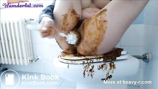 Shit on the toilet seat and smeared shit on the face