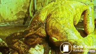 Cowshit adventure with Betty and Franky