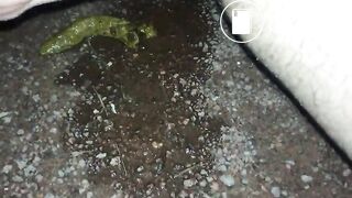 Big clit piss and shit by public pond at night - ThisVidcom