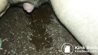 Big clit piss and shit by public pond at night - ThisVidcom