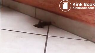 Brazilian girls shitting near the pool - ThisVidcom