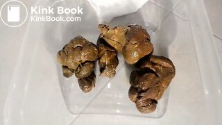 Hard thick poop in plastic box