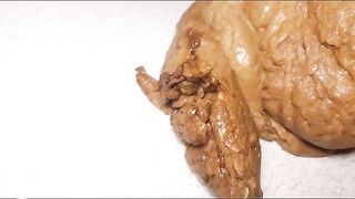 Huge pile of poop on a chair