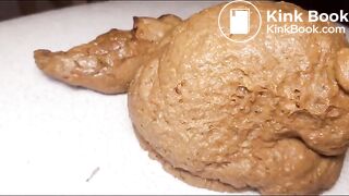 Huge pile of poop on a chair