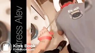 treat from the toilet bowl