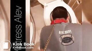 treat from the toilet bowl