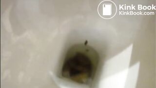 Milf recording herself shitting in the toilet