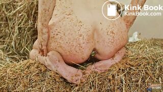 Niko is Disgusted - masturbating in horse shit - ManureFetish