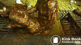 Betty and Franky cowshit