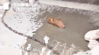 MiaRoxxx pooping in an abandoned house