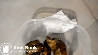 Hard poop in a plastic box