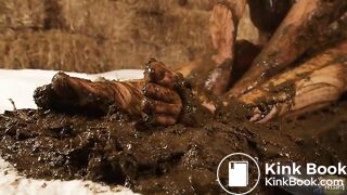 35 % Valentines day sale - cow shit and horse dung videos