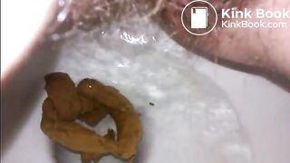 TOILET TURD