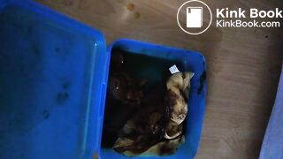 Kackslip zum wichsen gewünscht