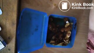 Kackslip zum wichsen gewünscht