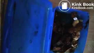 Kackslip zum wichsen gewünscht